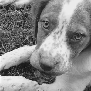 Meet your Posher, Marilyn